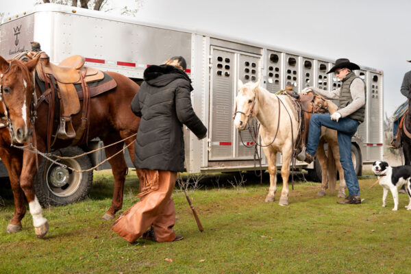 Cowboys-by-Nigel-Skeet